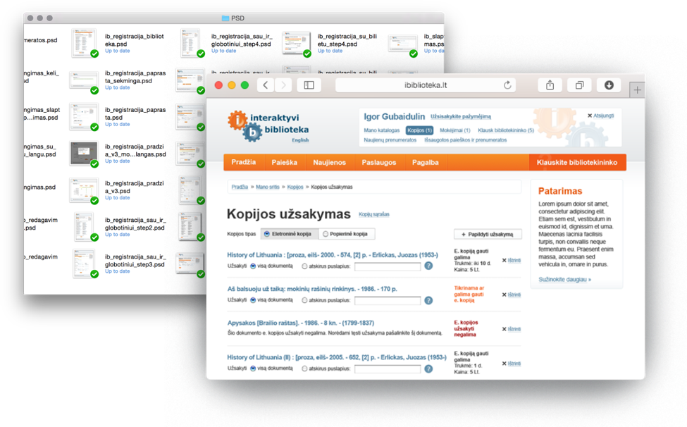 2010 Lithuania's e-library service