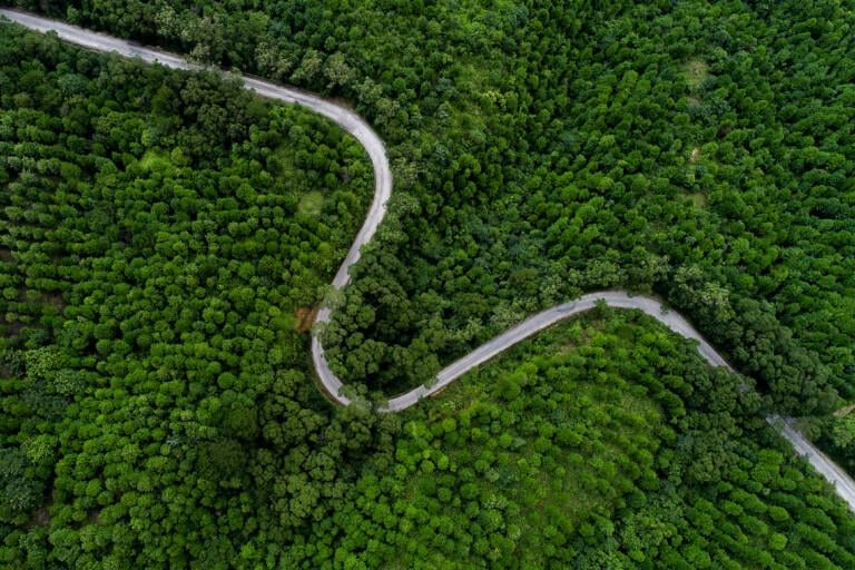 general_corporate_abstract_process_journey_nature_3-768x512