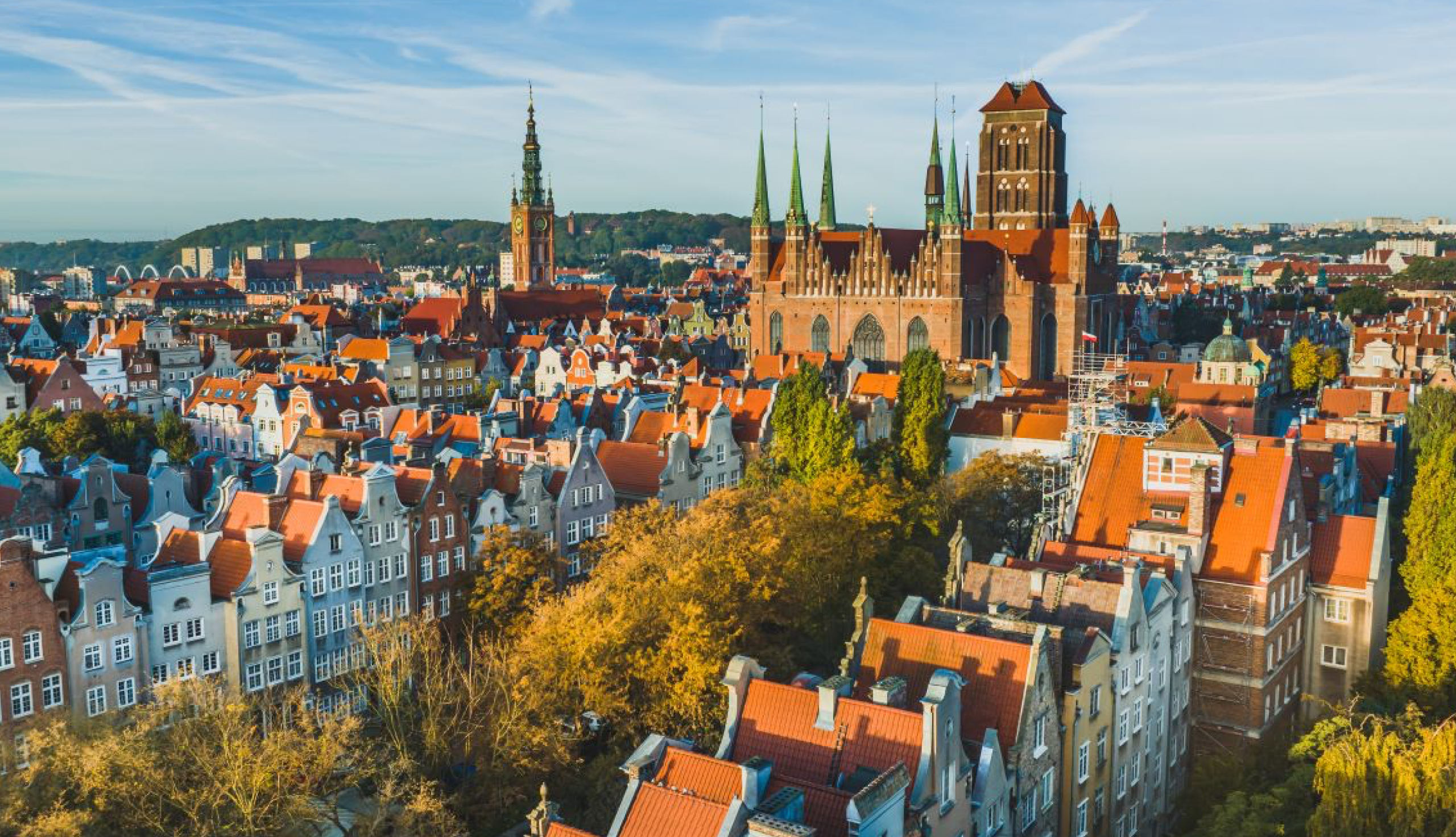 IT Outsourcing Services_ Why Poland_ – Infographic-2