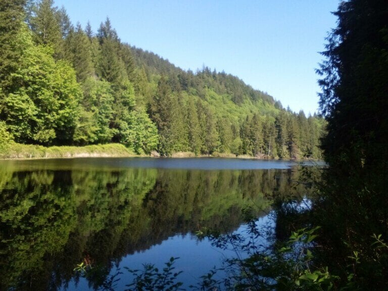 justin-woodum-nature-north-cascades-2-768x576