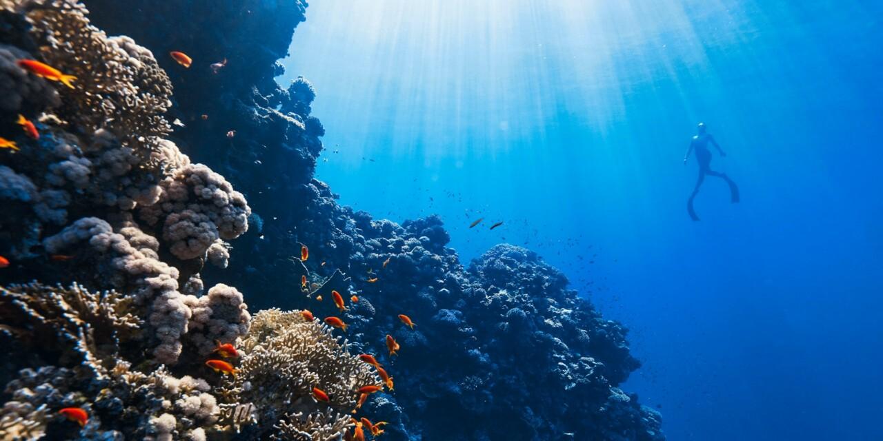 neom-i5j46lqao-o-unsplash-e1708958188353-1280x640