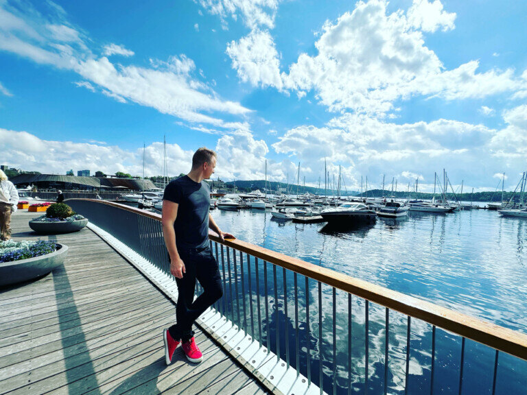 view-to-oslo-bay_norway-