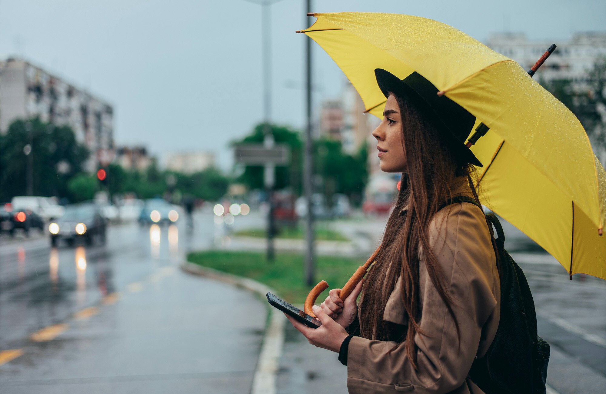 Woman about to cross a street using an umbrella and a mobile phone.