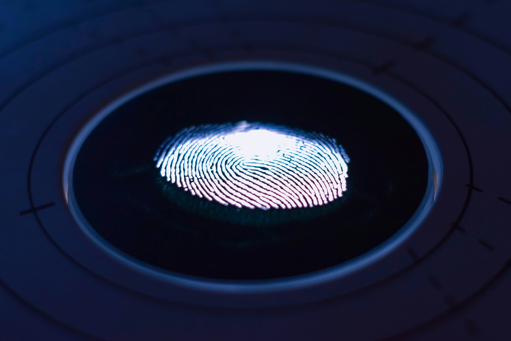 digital_fingerprint_identity