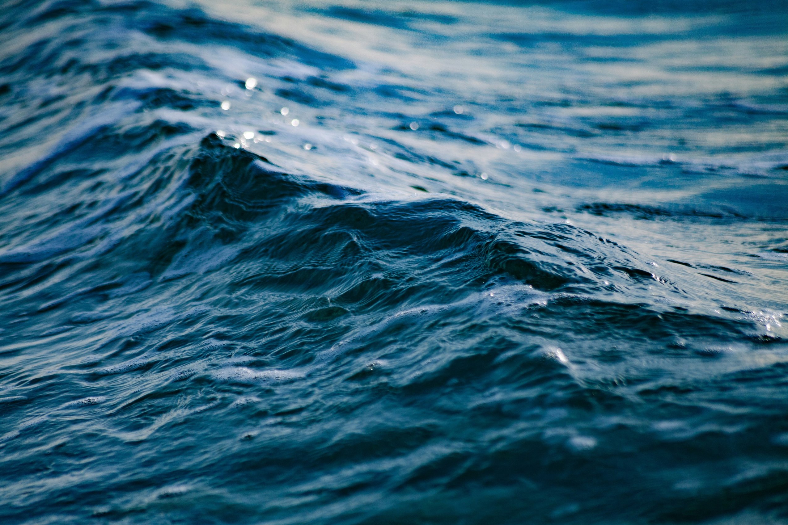 gaetano-cessati-vdqvzTgaYm4-unsplash